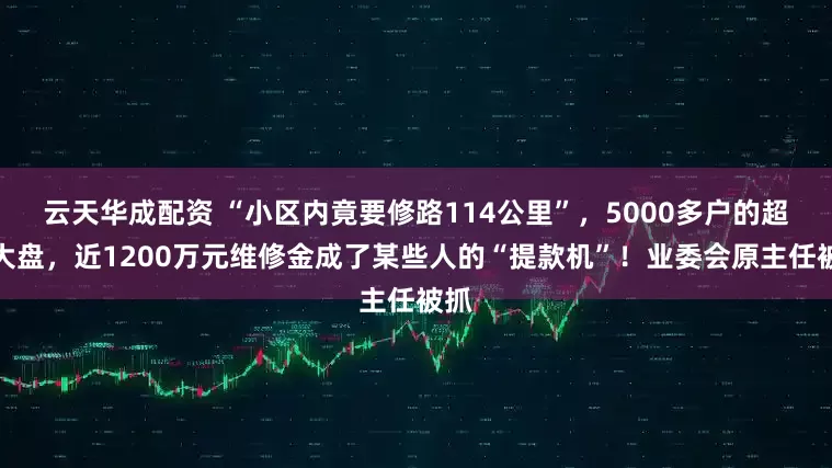 云天华成配资 “小区内竟要修路114公里”，5000多户的超级大盘，近1200万元维修金成了某些人的“提款机”！业委会原主任被抓